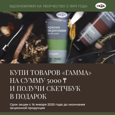 Акция Гамма