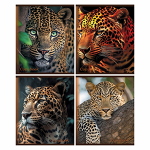 Тетрадь - А5  48л. клетка "Дикие кошки" (Маяк)