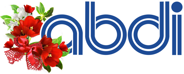 Лого Абди Наурыз 725х291.png