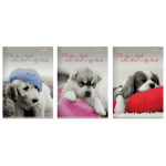 Тетрадь - А4  80л. клетка "Щенки. Контрасты" (Альт)