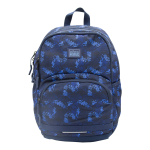 Рюкзак с эргономичной спинкой д/мальчиков синий (AISA SCHOOL)